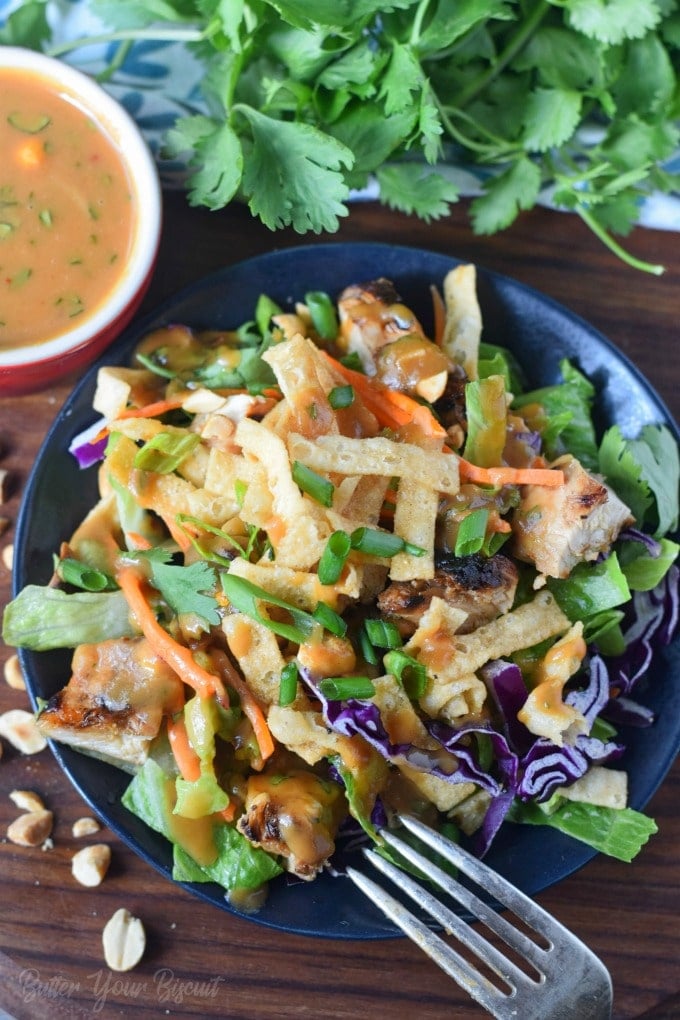 Thai Chicken Salad Wonton Cups with Peanut Sauce Dressing