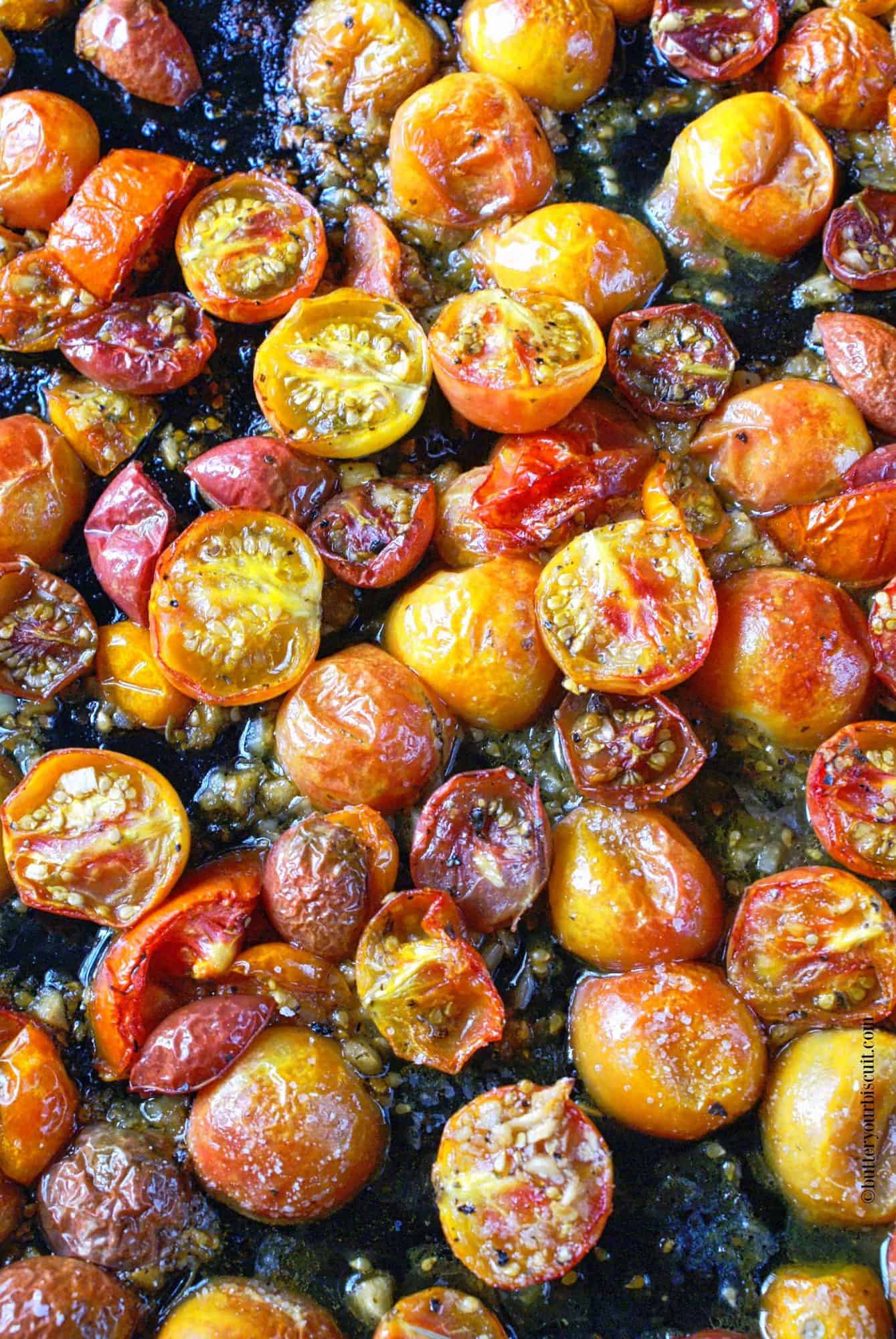 A sheet pan full of garlic roasted tomatoes right out of the oven.