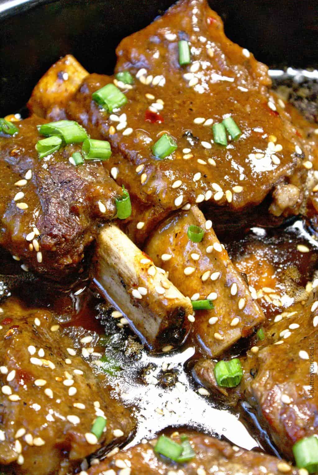 Korean Style Beef Short Ribs Slow Cooker