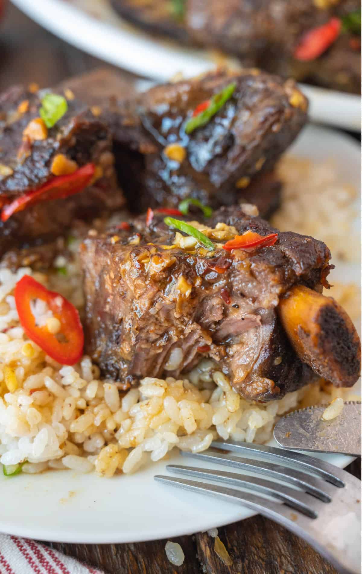 Short rib on a bed of rice.