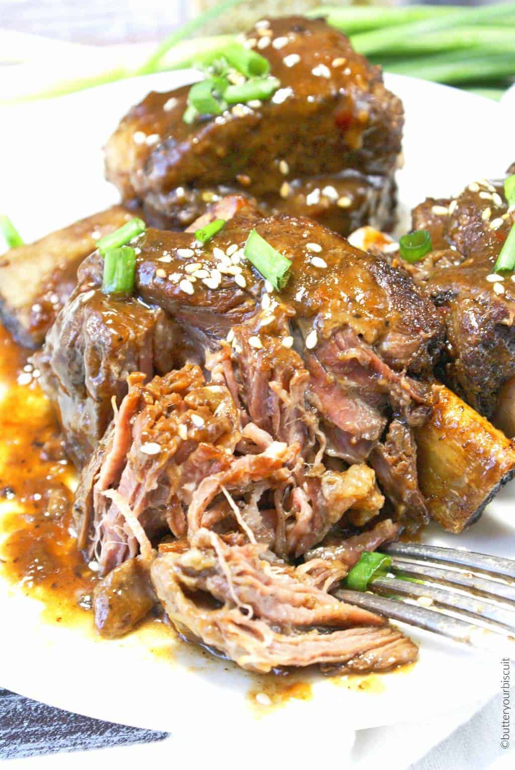 braised beef short ribs slow cooker