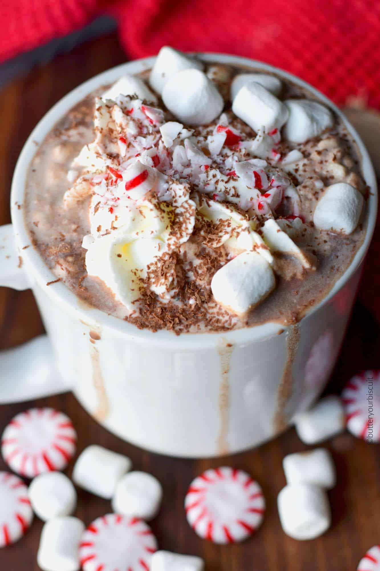 Rich and Creamy Hot Chocolate | Butter Your Biscuit