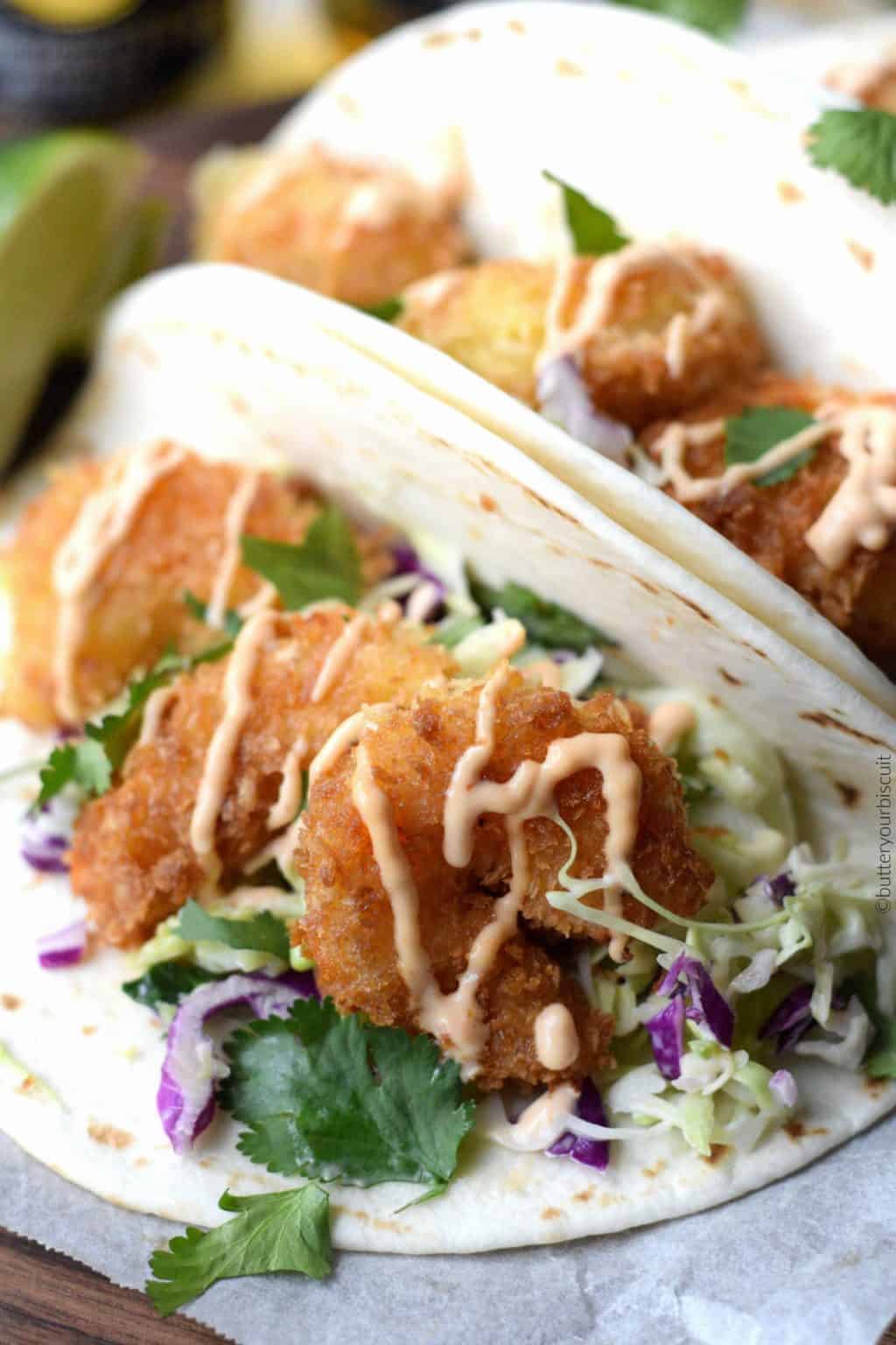 A close up of a plate of food, with Shrimp and Taco