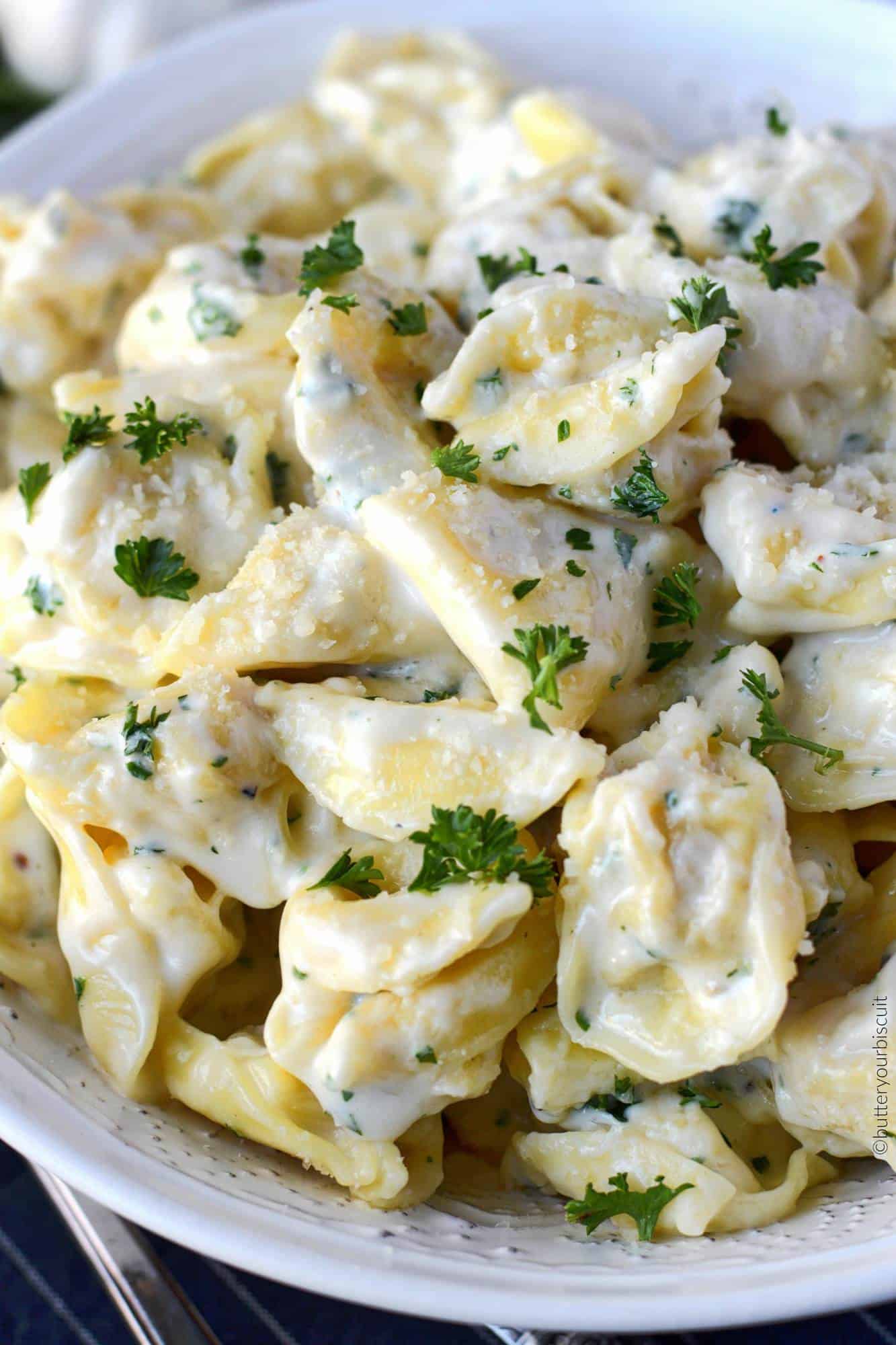 Garlic Alfredo Cheese Tortellini - Butter Your Biscuit