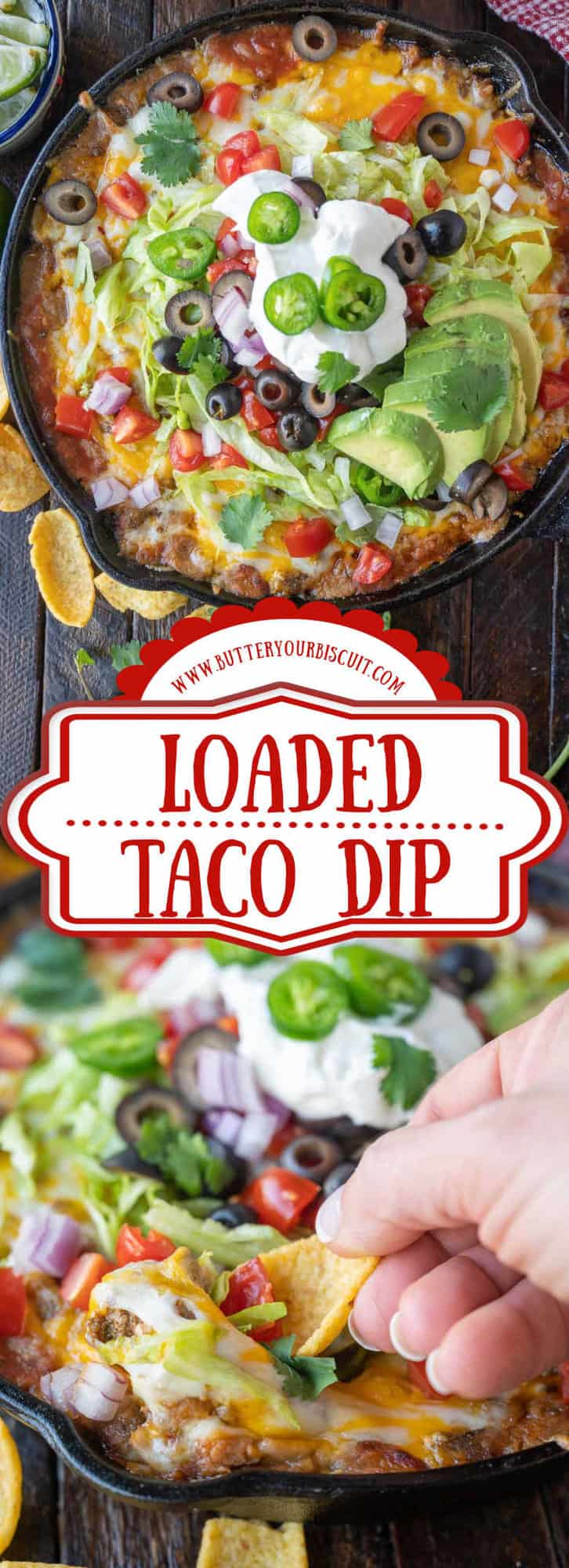 Taco Dip Recipe-Butter Your Biscuit