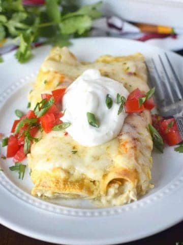 Chicken enchiladas on a white plate, with a fork.