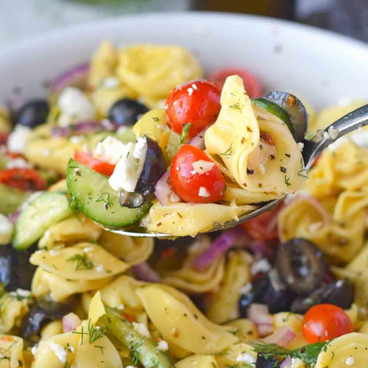 A spoon scooping up some greek pasta salad.