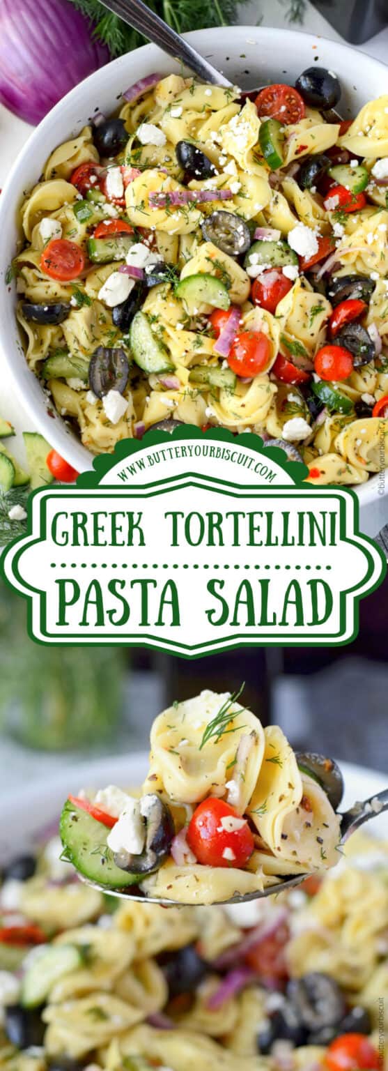 Greek Tortellini Pasta Salad Recipe-Butter Your Biscuit