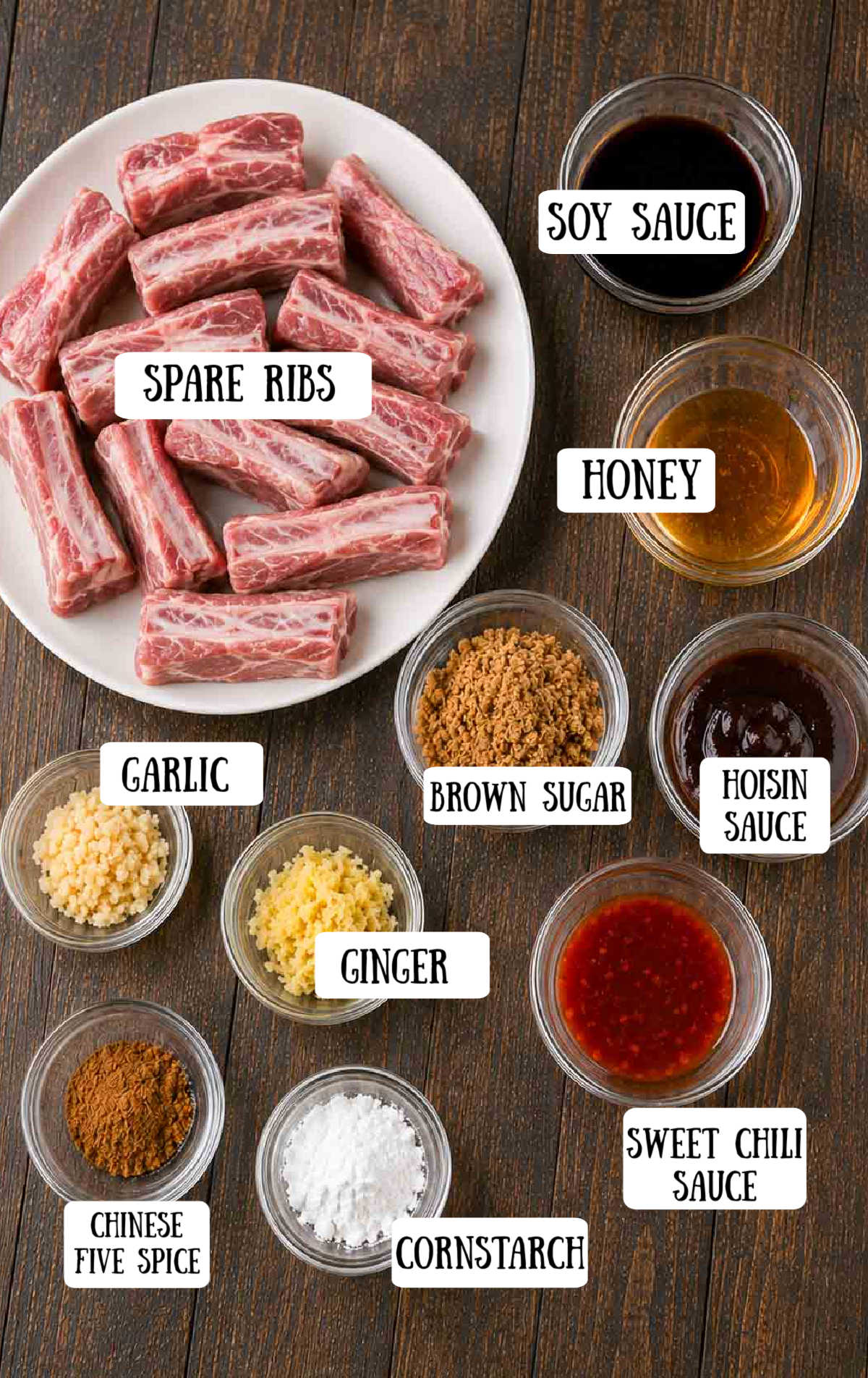 All of the ingredients needed for the slow cooker chinese spareribs.