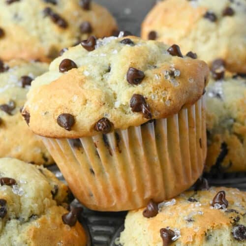 Sour Cream Chocolate Chip Muffins | Butter Your Biscuit Dessert