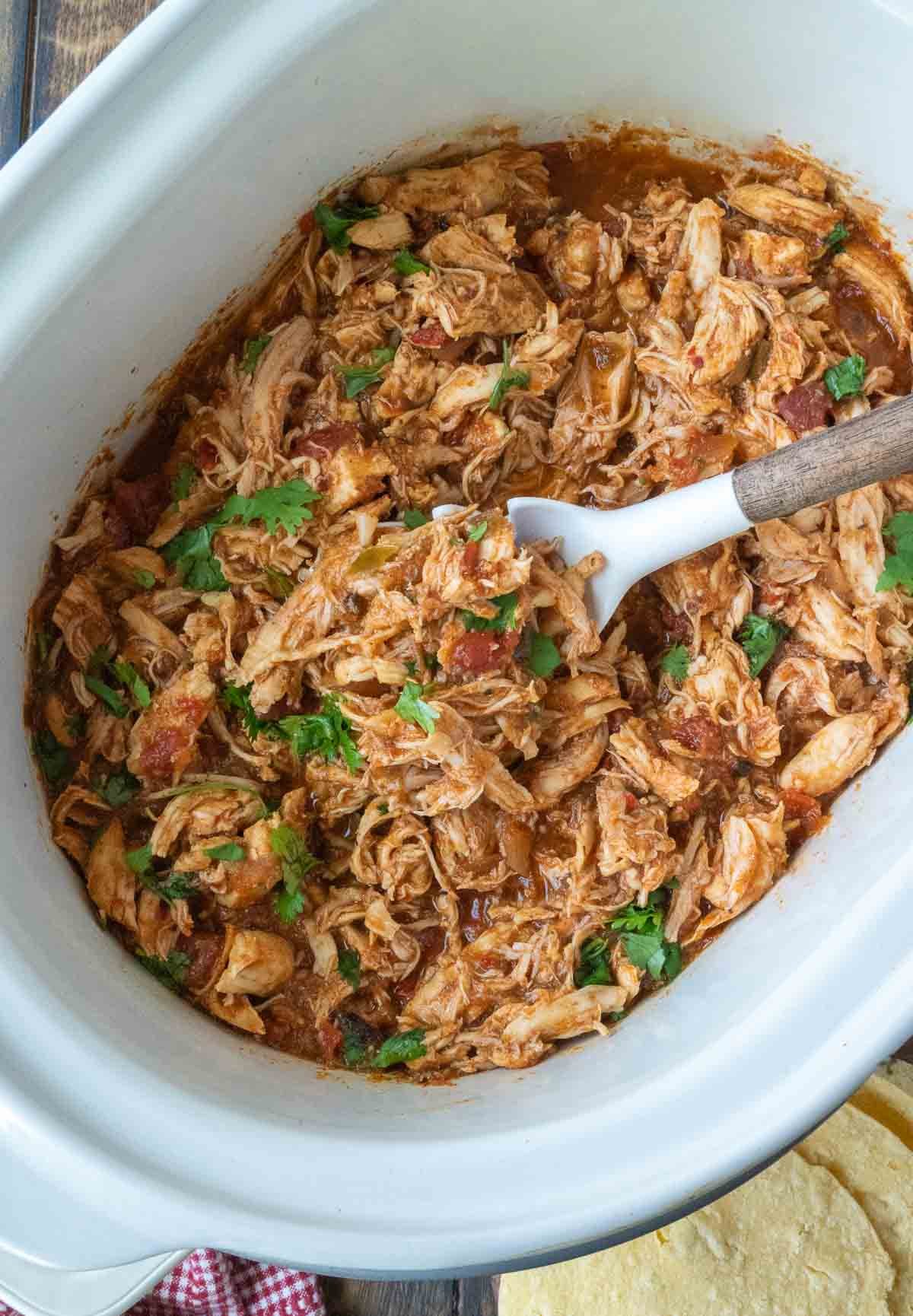 Salsa chicken cooked and shredded in a slow cooker.
