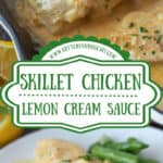 A pinterest pin of skillet chicken in cream sauce.