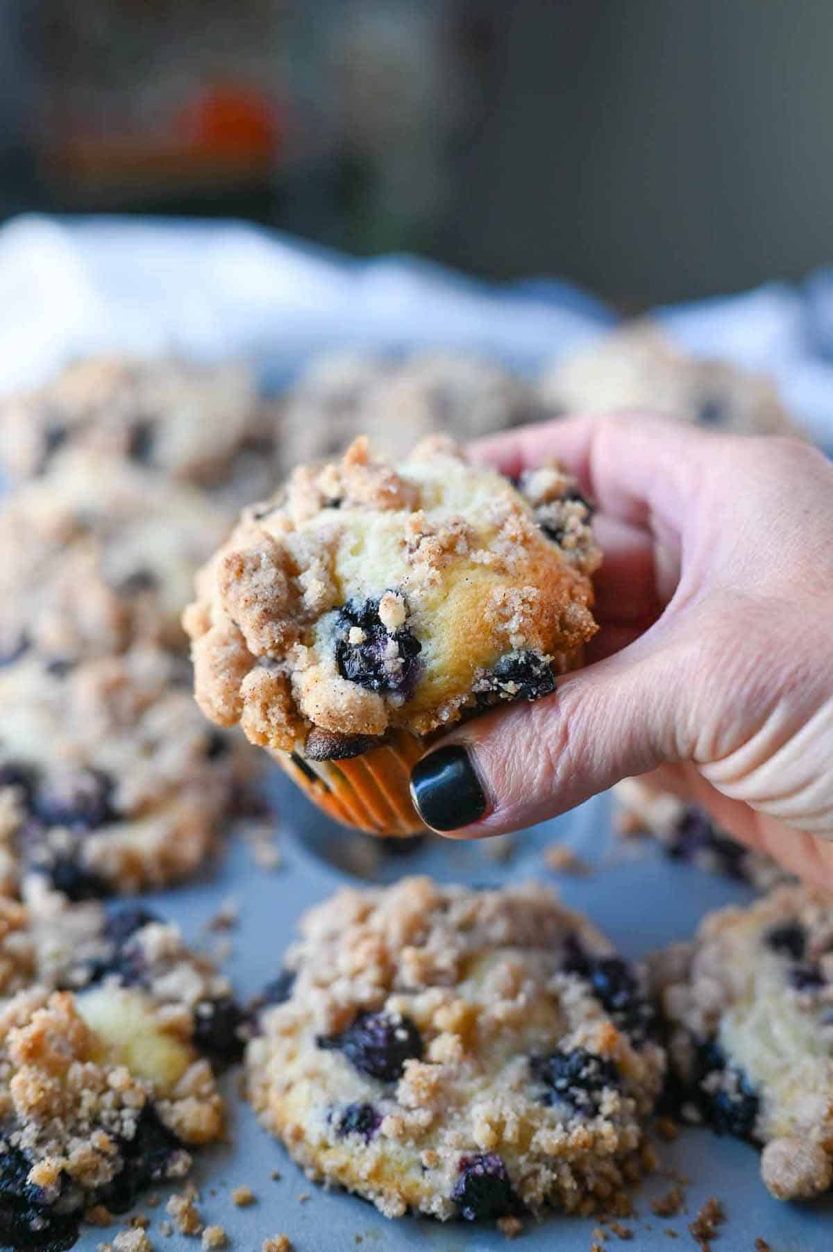 A blueberry muffin being held.