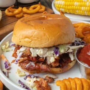 Pulled pork sandwich on a plate with curly fries.