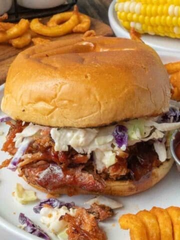 Pulled pork sandwich on a plate with curly fries.