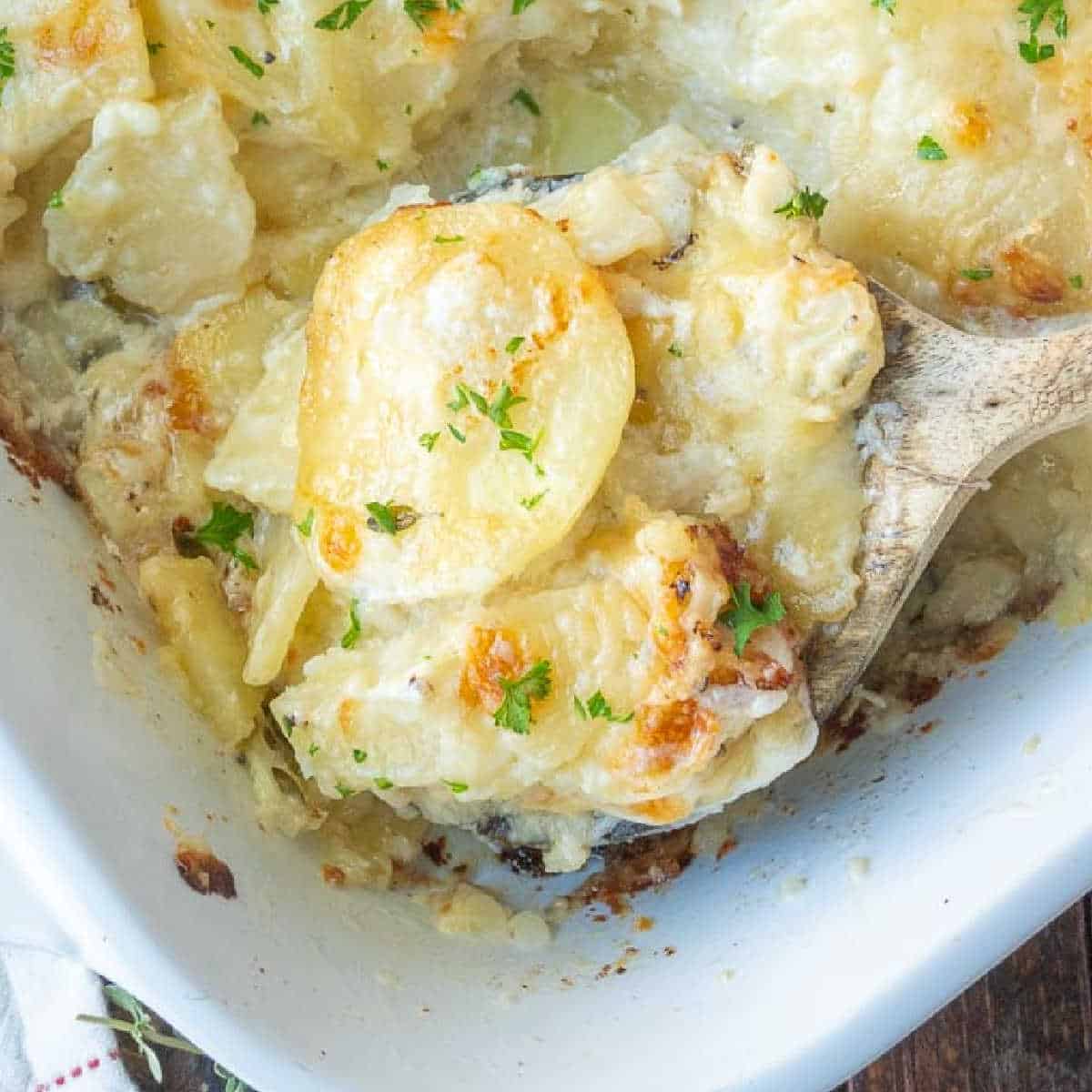 potatoes-au-gratin-12