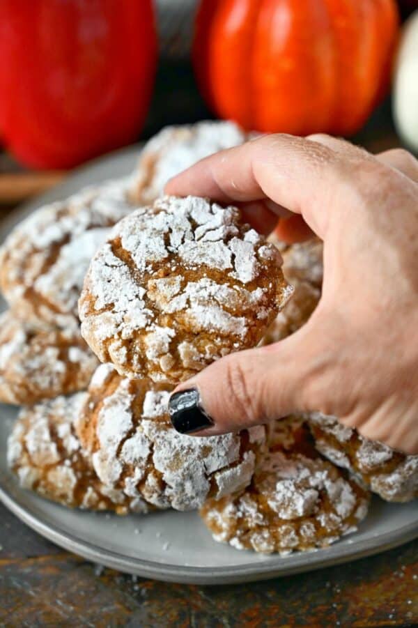 Pumpkin Crinkle Cookies Recipe-Butter Your Biscuit