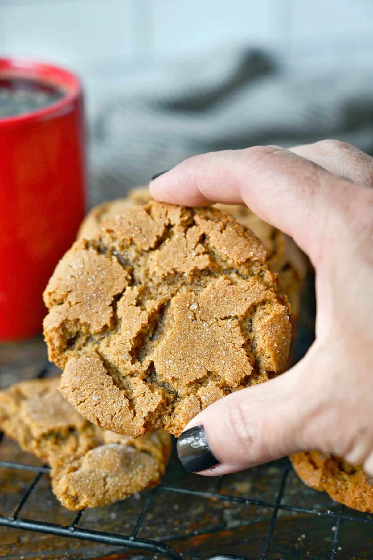 Ginger snap cookie being held in a hand.