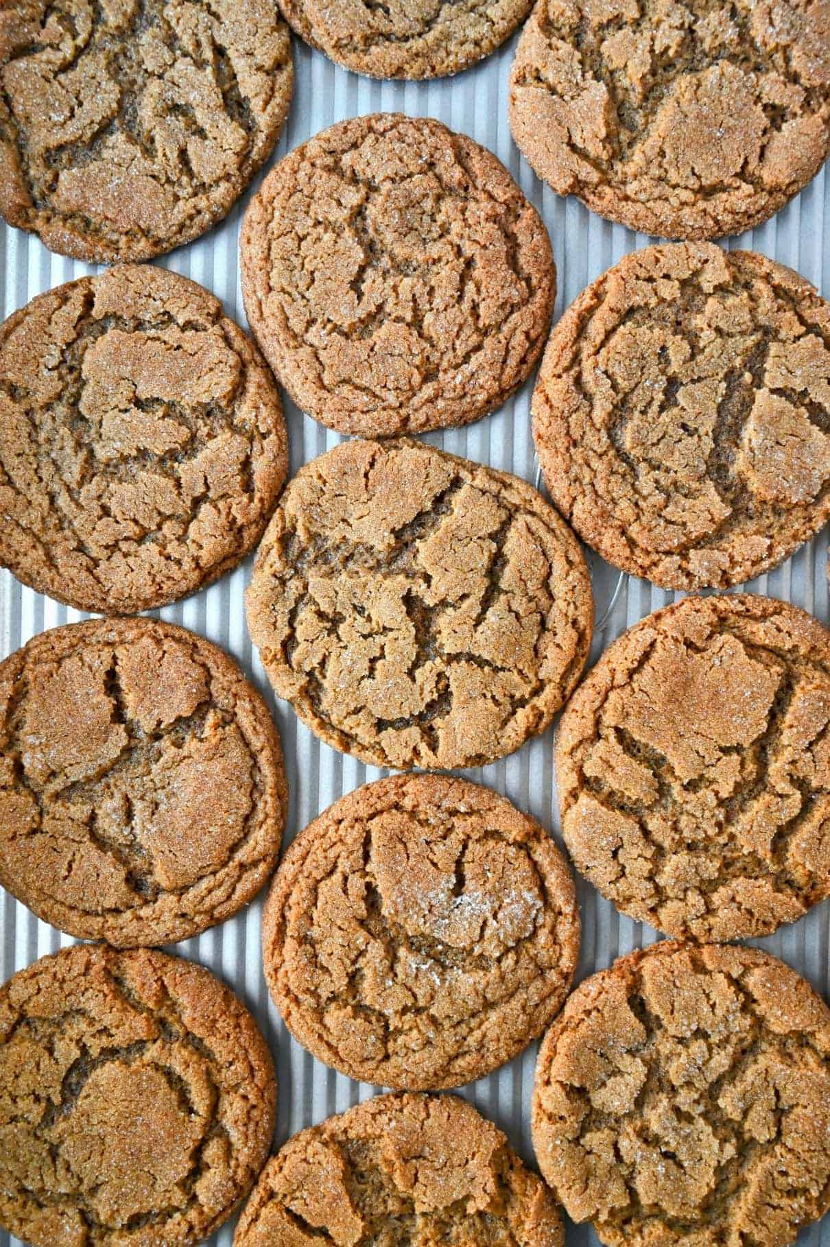 Several ginger snap cookies spread out onto a baking sheet.