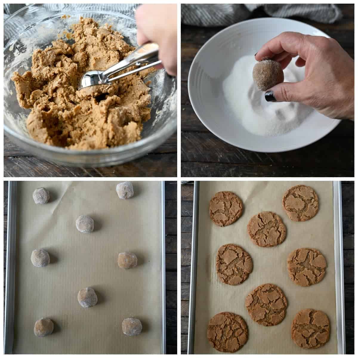 Four process photos, first one, a cookie scoop scooping out a dough ball. Second one, dough ball being rolled in granulated sugar. Third one, dough balls placed on a baking sheet covered with a piece of parchment paper. Fourth one, baked ginger snaps on a baking sheet covered with parchment paper.