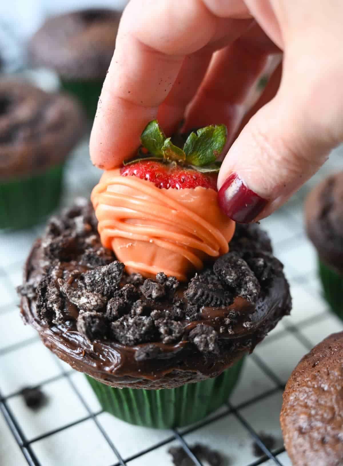 A orange chocolate dipped strawberry being placed right on top of the chocolate cupcake.