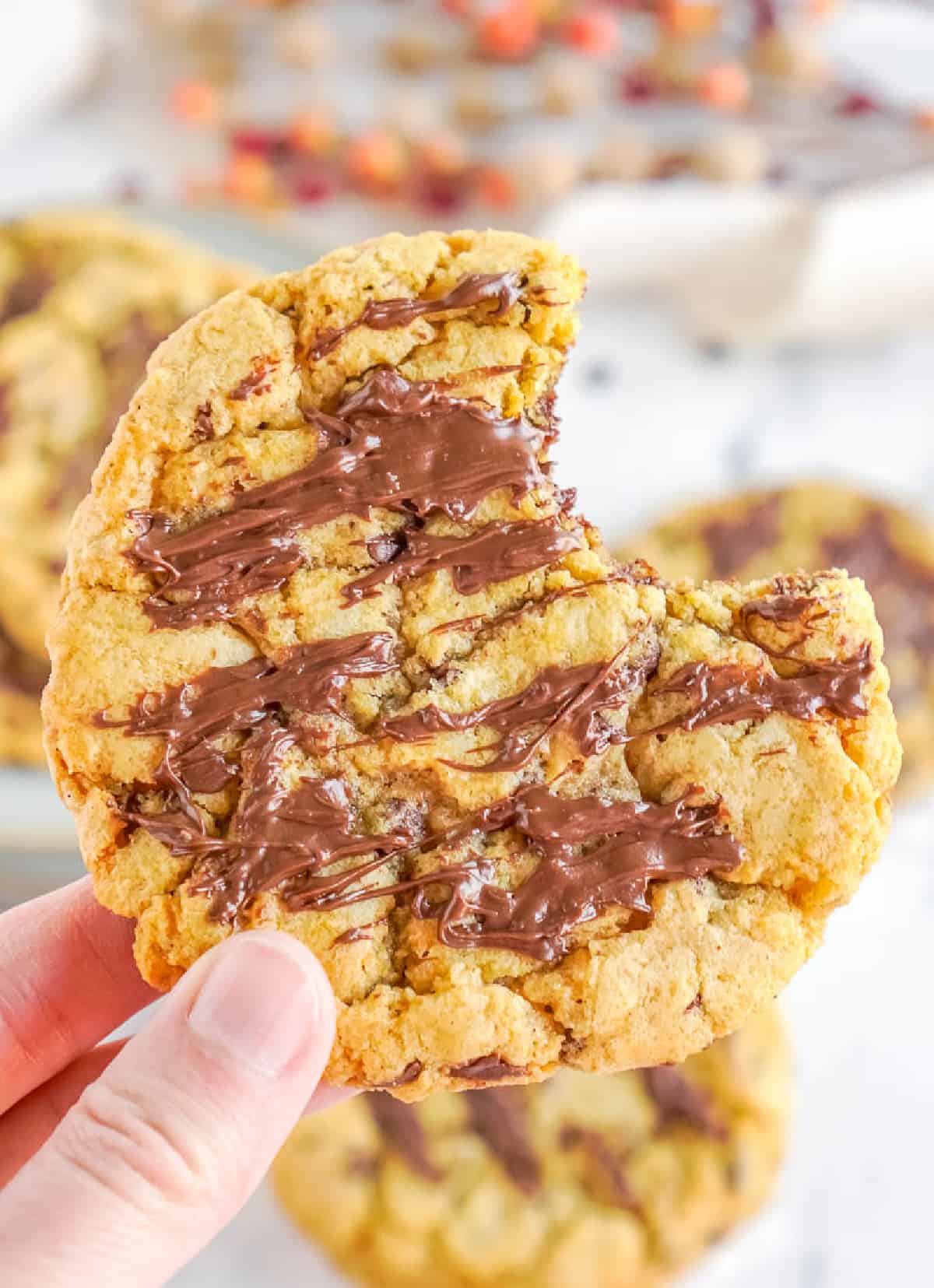 A pumpkin chocolate chip cookie being held with a bite taken out.