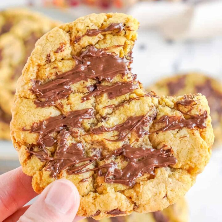 A close up photo of a pumpkin chocolate chip cookie being held.