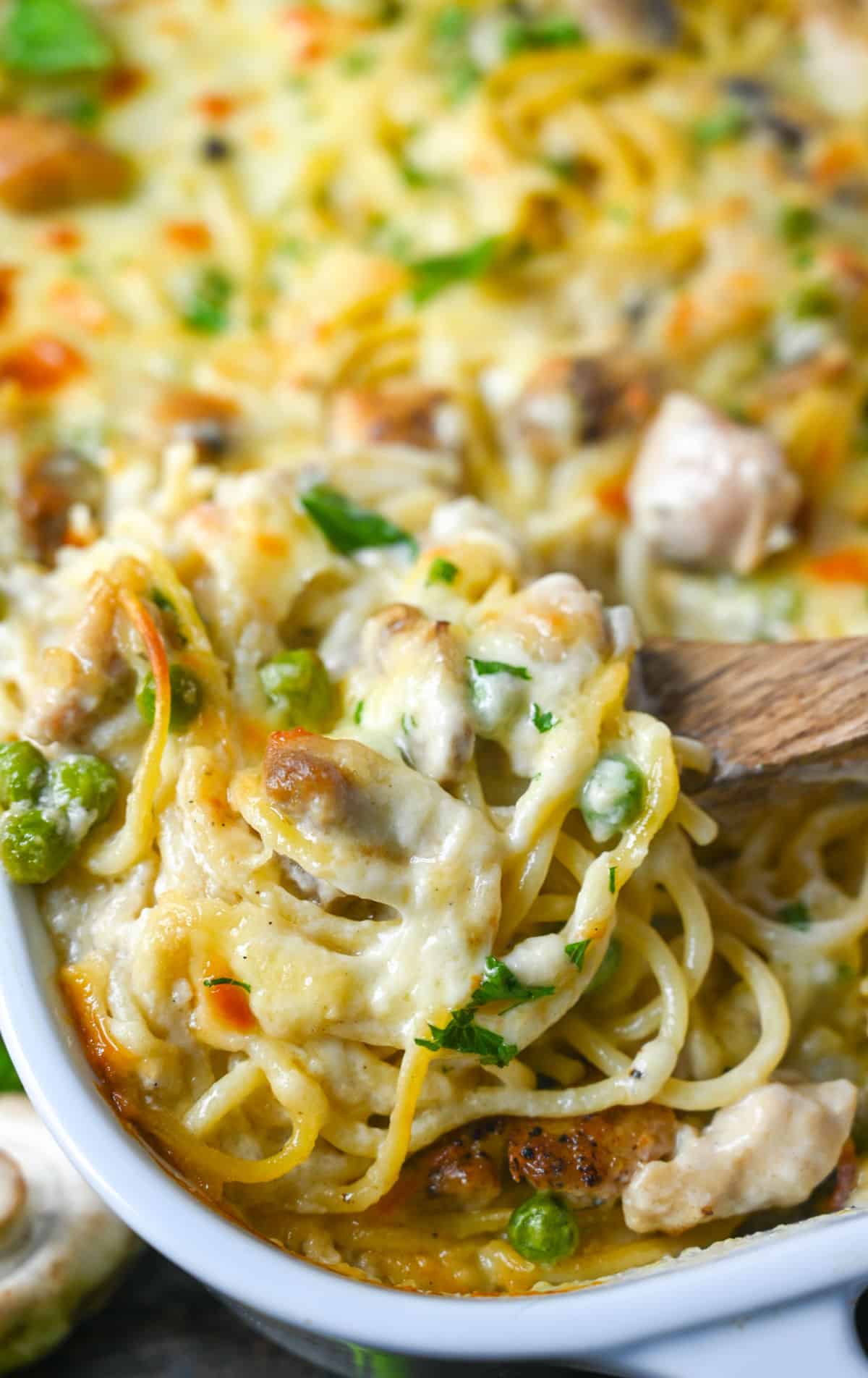 A close up photo of chicken tetrazzini being scooped up with a wooden spoon.