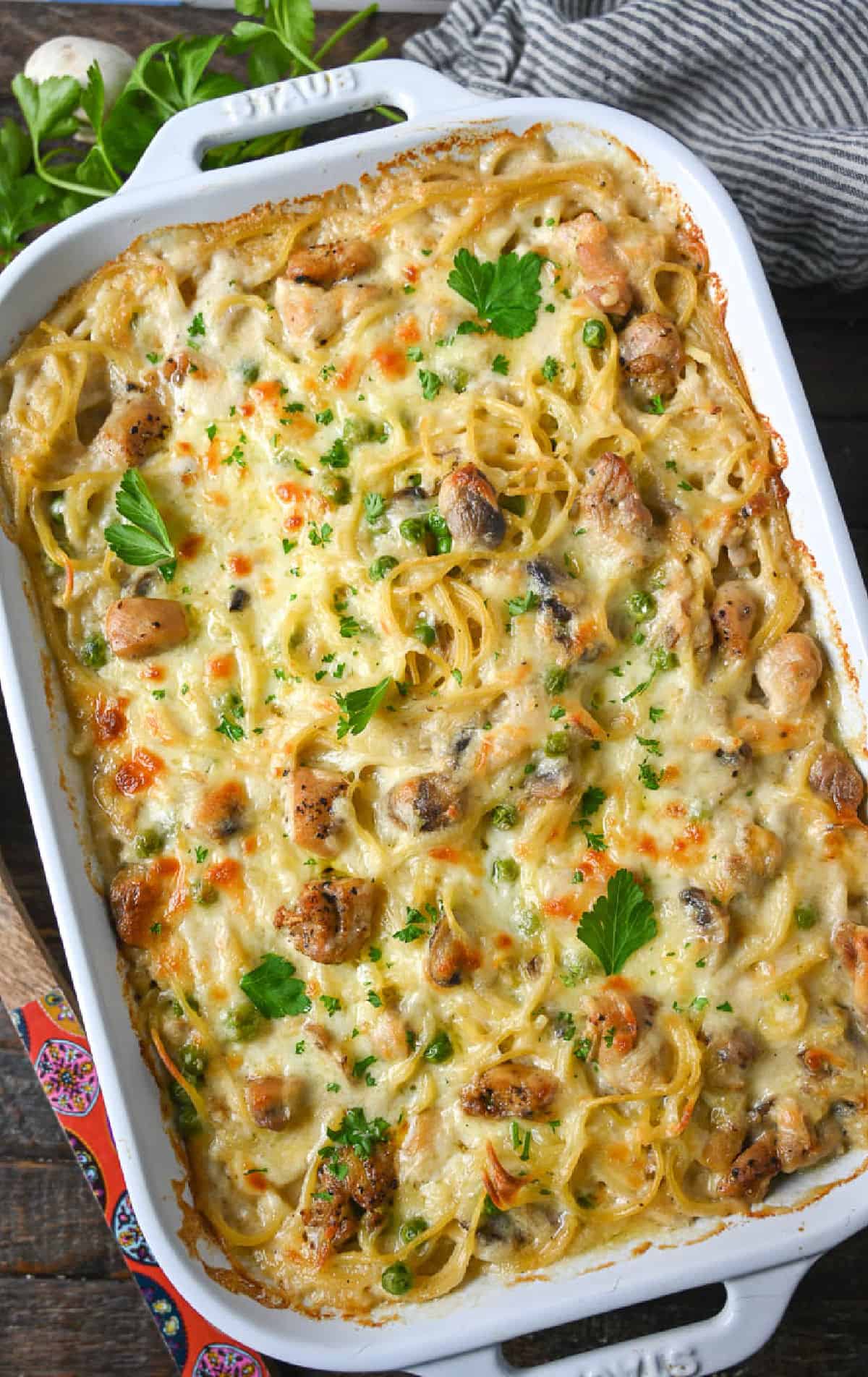 Chicken tetrazzini in a white baking dish that is fresh out of the oven.