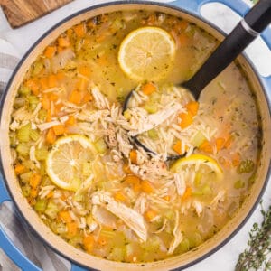 A close up photo of homemade chicken orzo soup with a black ladel scooping some out.