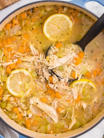 A close up photo of homemade chicken orzo soup with a black ladel scooping some out.