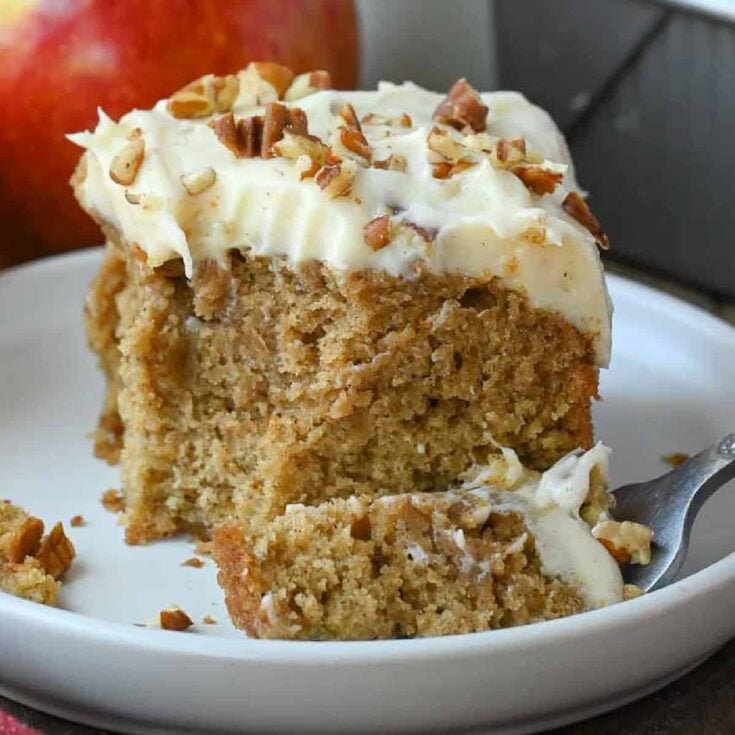 Old Fashioned Applesauce Cake | Butter Your Biscuit