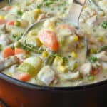 A ladle scooping up some chicken stew.