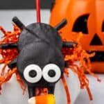 A spider oreo cookie on a bed of orange shredded paper.