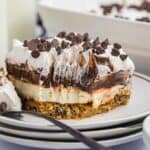 chocolate cookie delight on a plate.