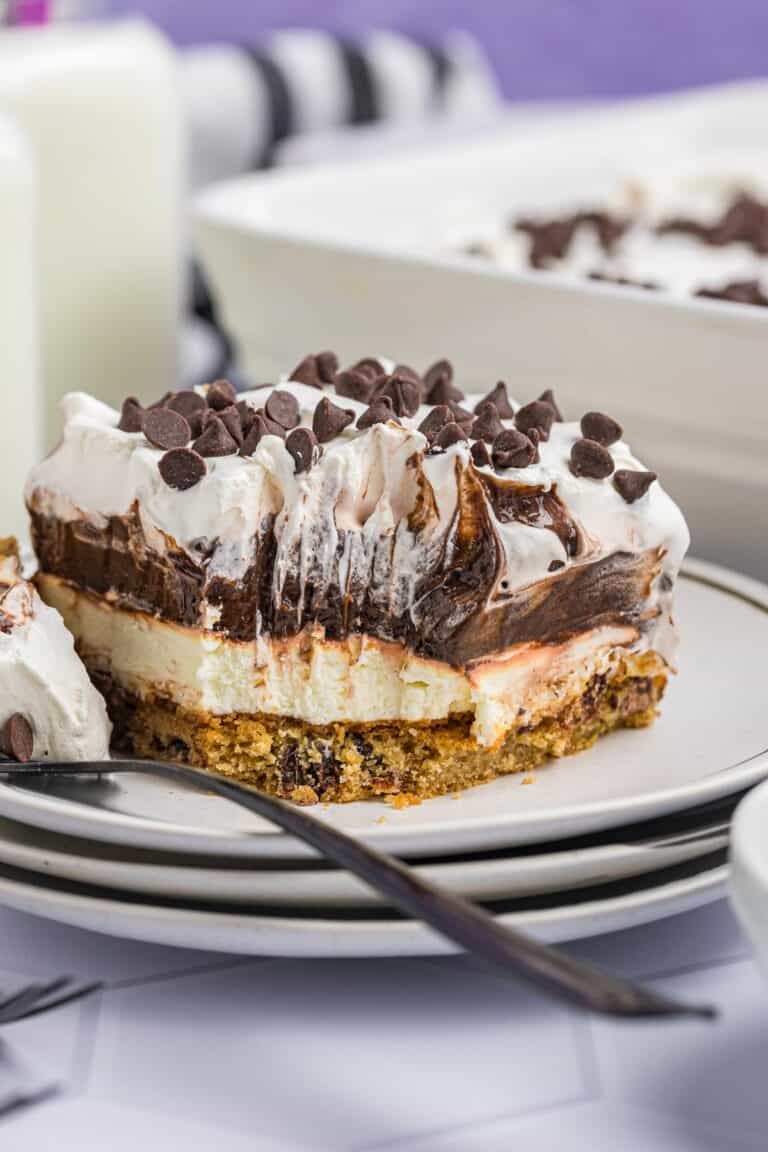 chocolate cookie delight on a plate.