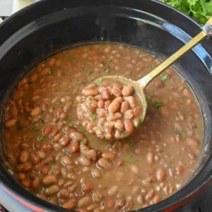Using a spoon to stir a crock pot of pinto beans.