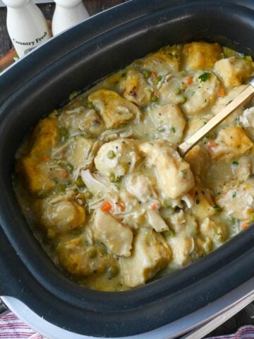 A Ladle scooping up some chicken and dumplings.