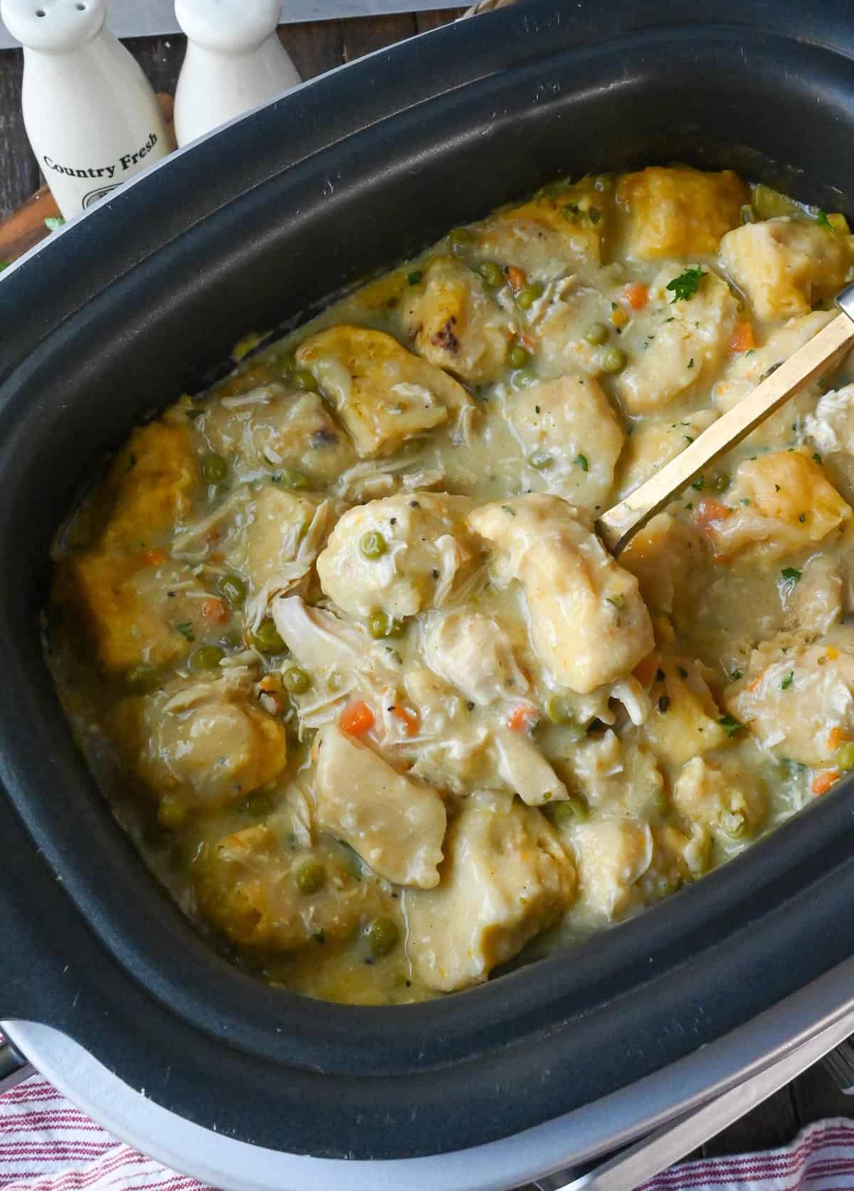 A Ladle scooping up some chicken and dumplings.