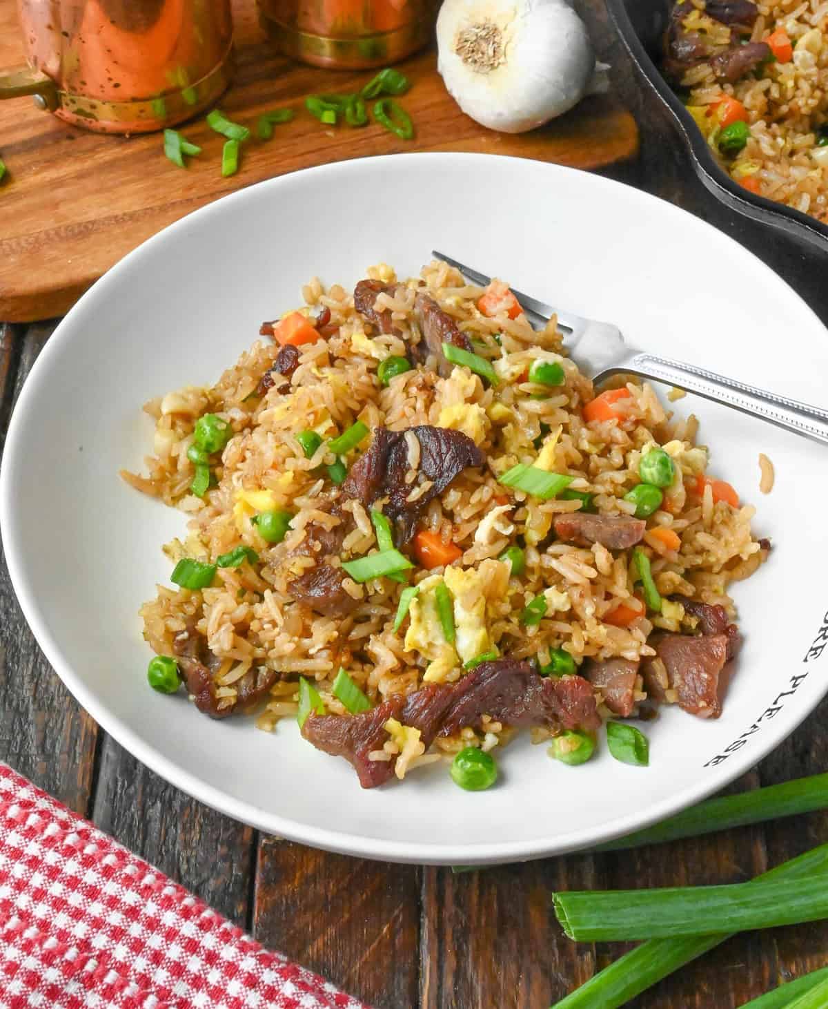 A plate of steak fried rice garnished with green onions.