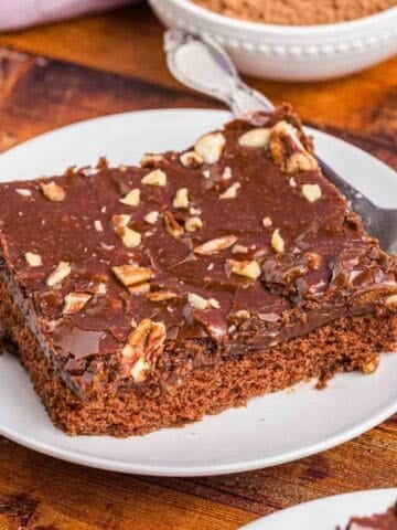 A plate with a large slice of chocolate sheet cake.