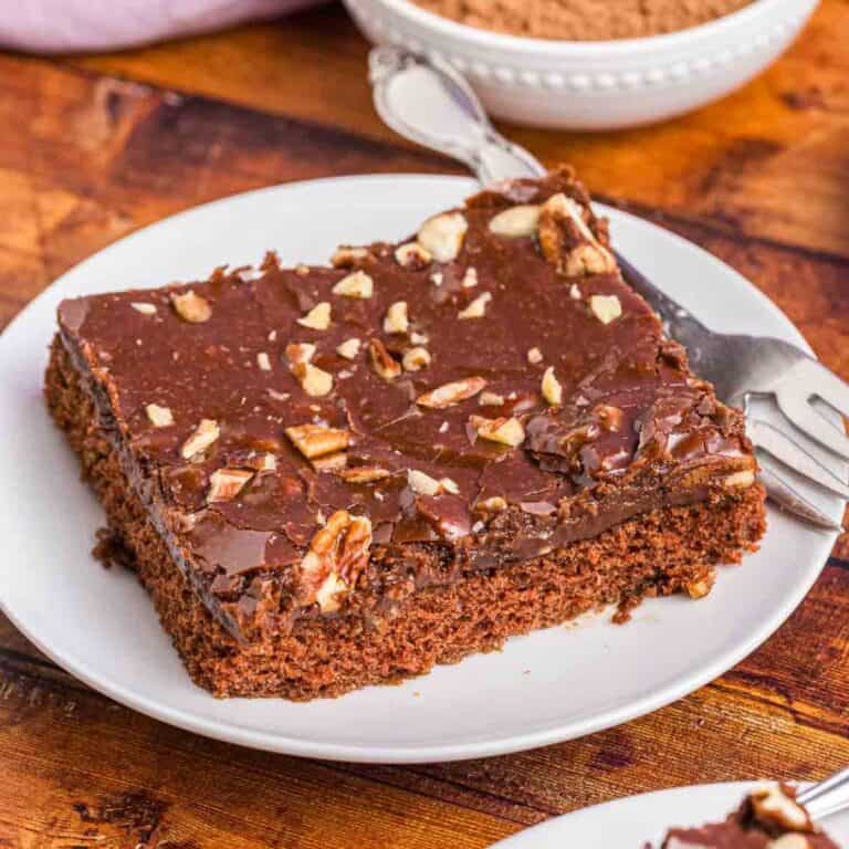A plate with a large slice of chocolate sheet cake.
