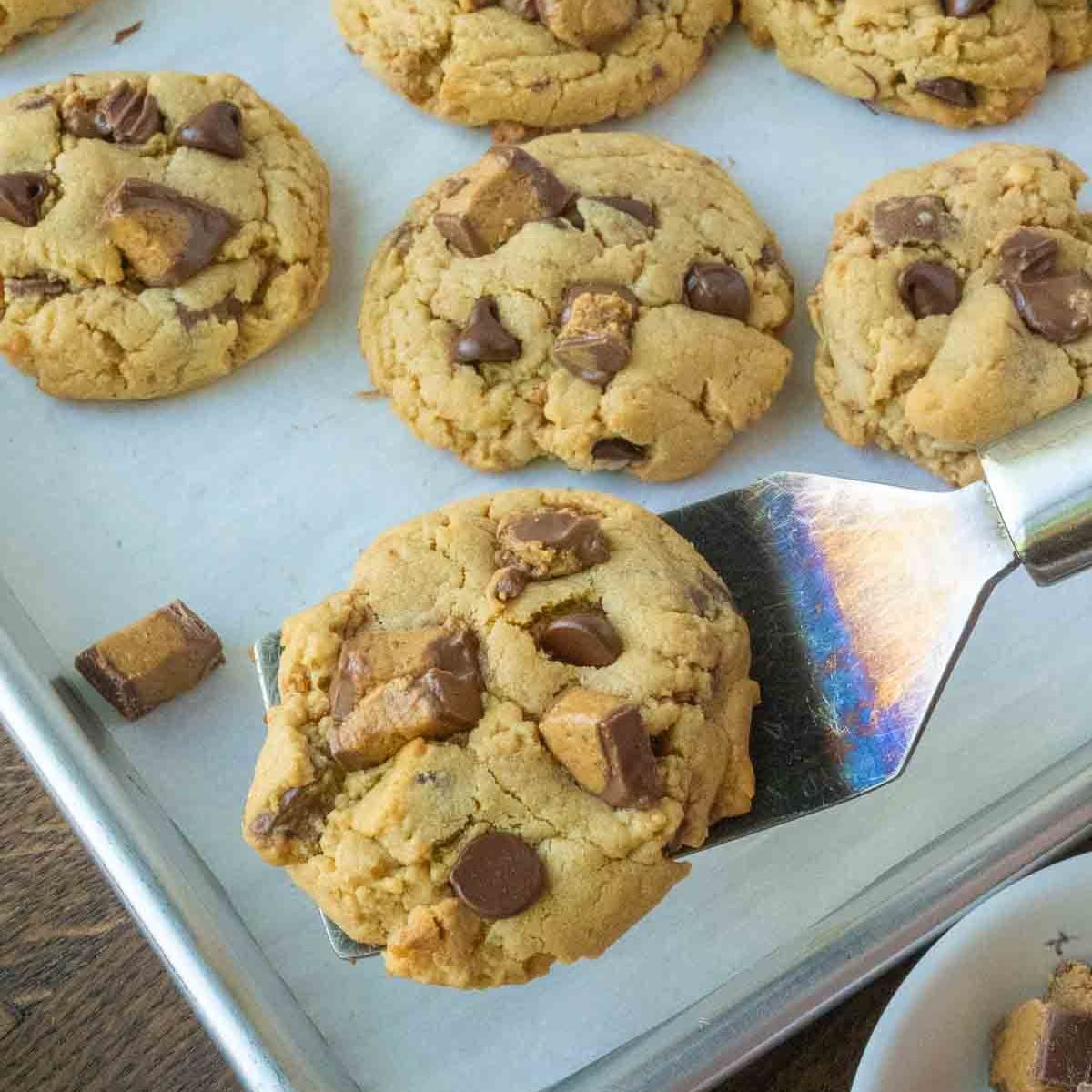 Close up of a peanut butter cup cookie on a spatula.