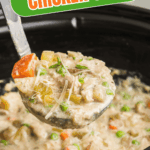 Slow cooker chicken stew pinterest pin.