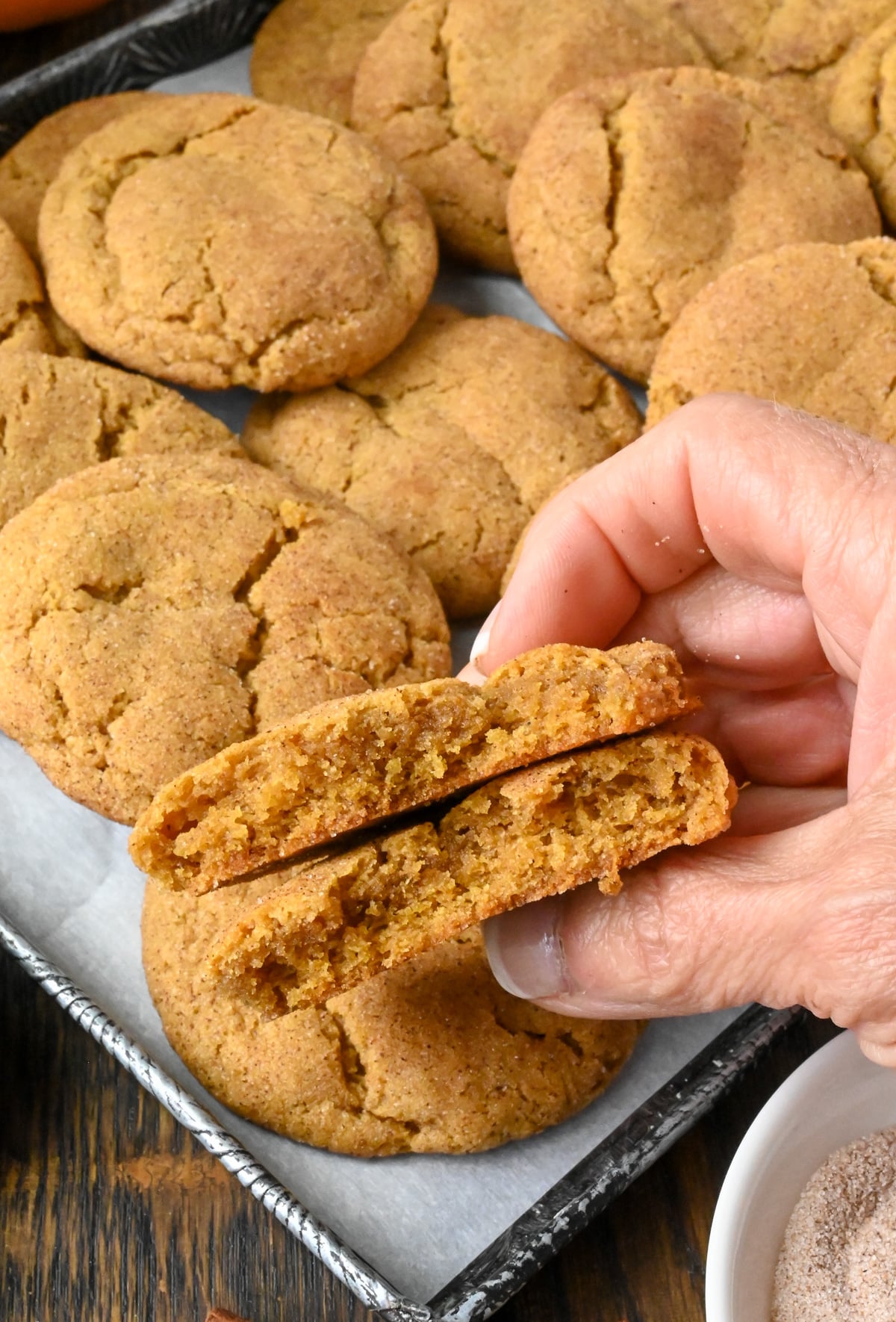 Two snickerdoodles cookies being held.